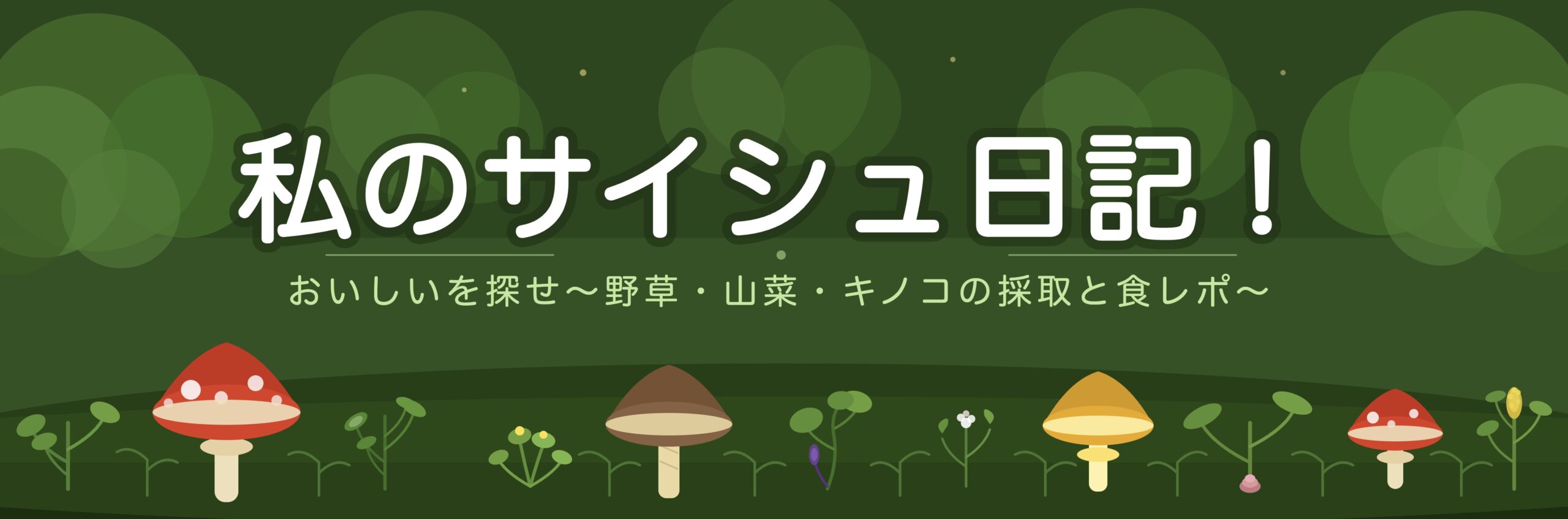 私のサイシュ日記！