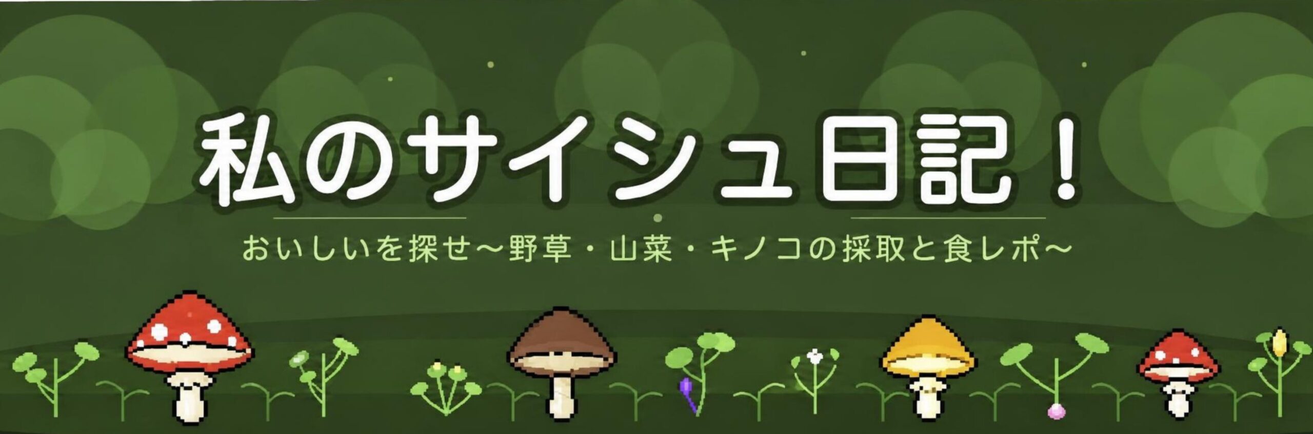私のサイシュ日記！
